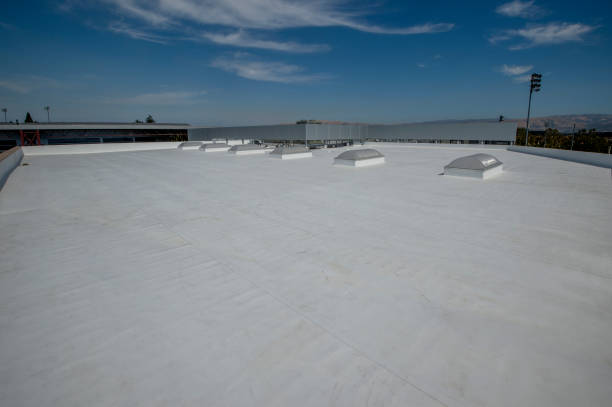 Best Sheet Metal Roofing  in Locust Grove, OK
